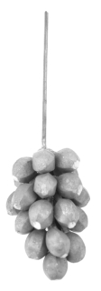 Hrozno 3D, strapec 120 x 70 mm, stopka 140 mm